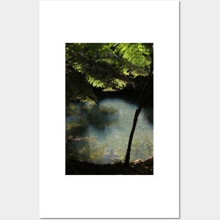 Pond in a hidden forest Posters and Art